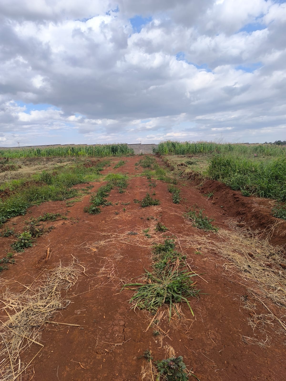 FOR SALE: Prime 1/8 Acre Residential Plots In Ruiru, Kes. 5.5M for sale in Kiambu 
 | Soko Ads