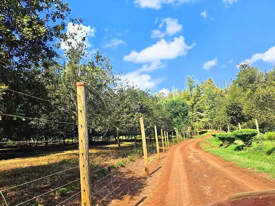 VANTAGE VIEW ESTATE - JUJA PRIME PLOTS FOR SALE  for sale in Kiambu 
 | Soko Ads