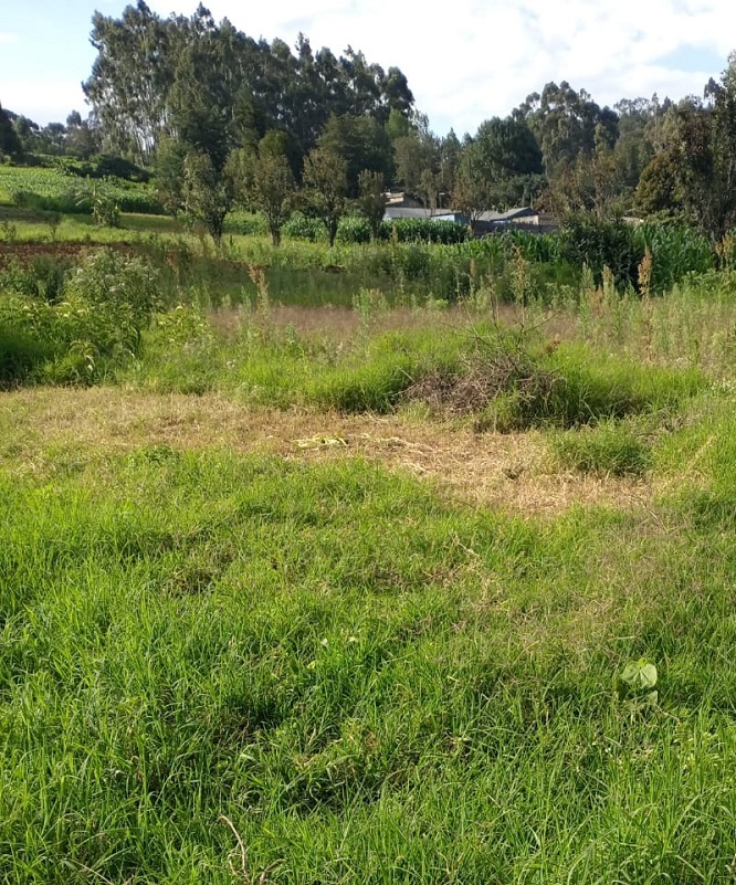 60*100 Prime Plot For Sale In Manguo Near Limuru for sale in Kiambu 
 | Soko Ads